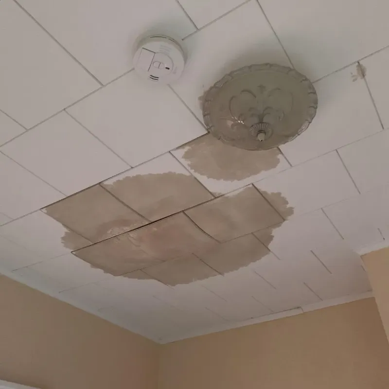 Ceiling Water Damage Repair in Clay, WV