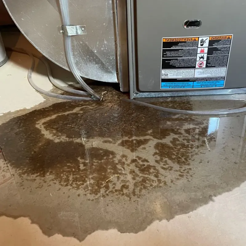 Pipe Burst and Leak Restoration in Clay, WV