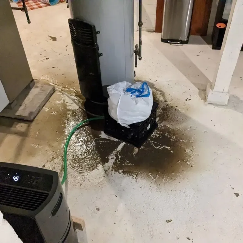 Sewage Backup Cleanup Service in Clay, WV